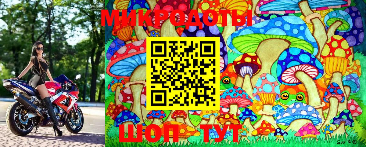 Моздок  Галлюциногенные грибы GOLDEN TEACHER  Вход с VPN 