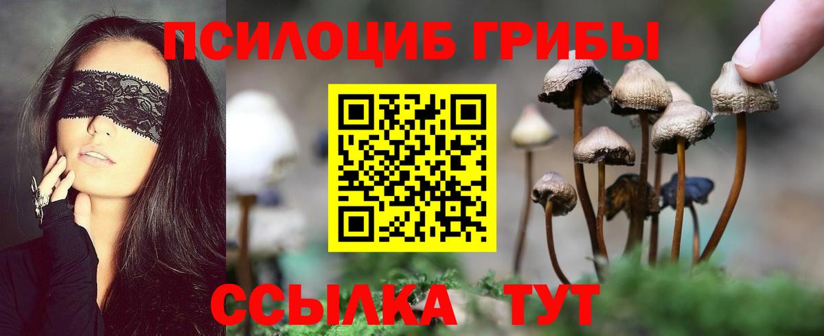 Псилоцибиновые грибы мухоморы Моздок